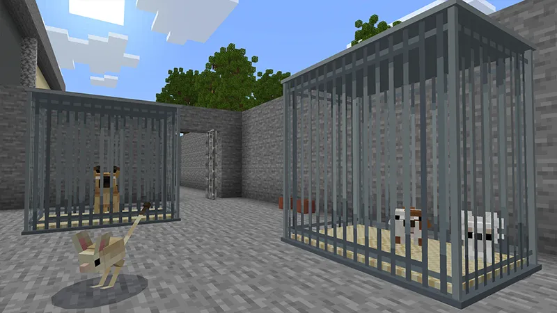 ANIMAL SHELTER