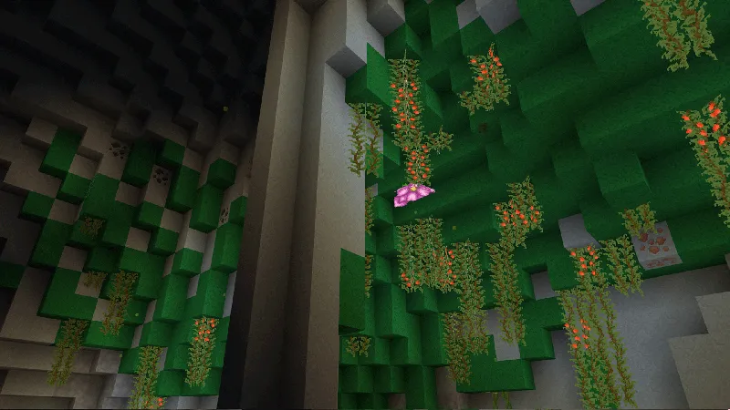 Royal Delight - Soft Textures