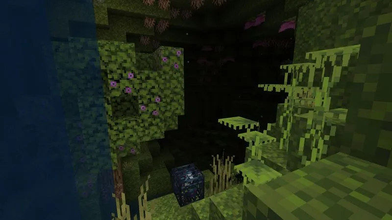 Space Station Skyblock