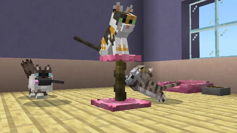CATS Add-On