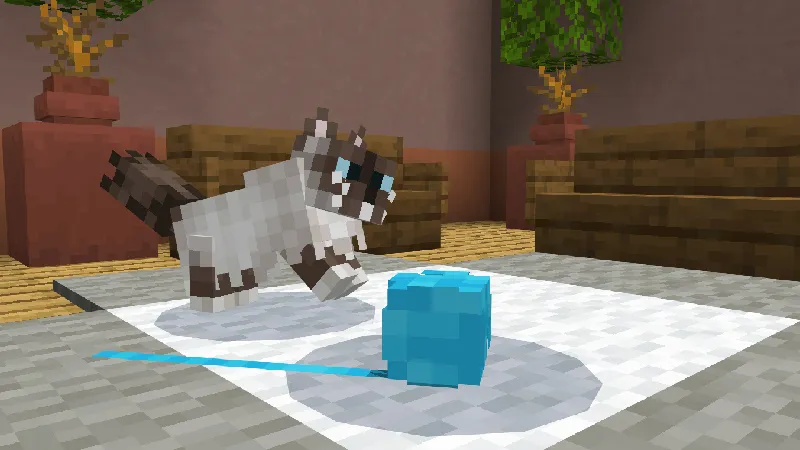 CATS Add-On
