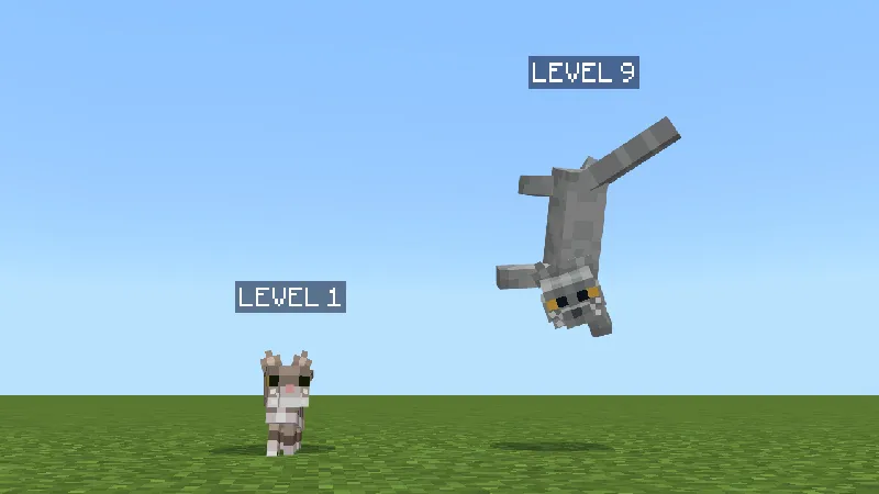 CATS Add-On