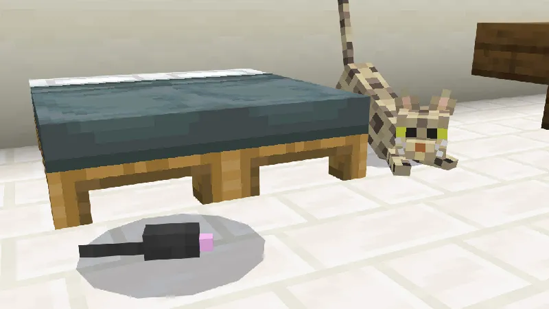 CATS Add-On