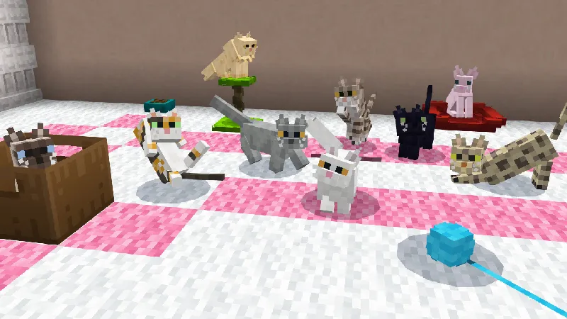 CATS Add-On