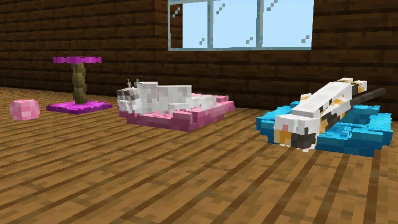 CATS Add-On