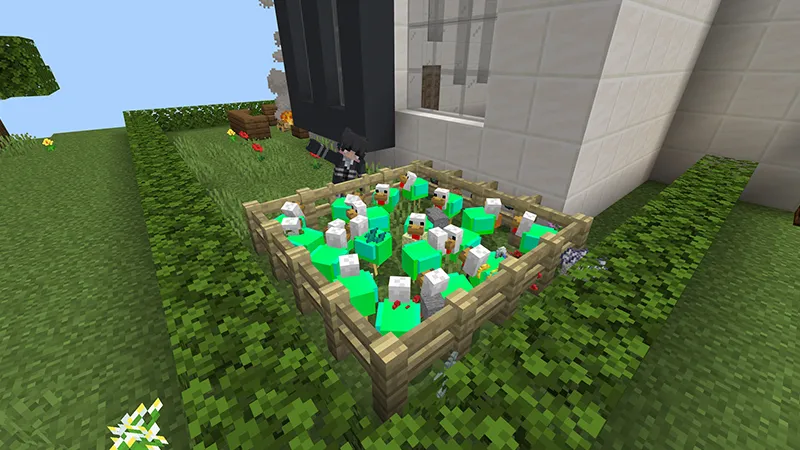 Millionaire RGB Chicken
