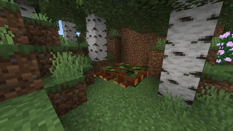 Ultimate Hidden Base