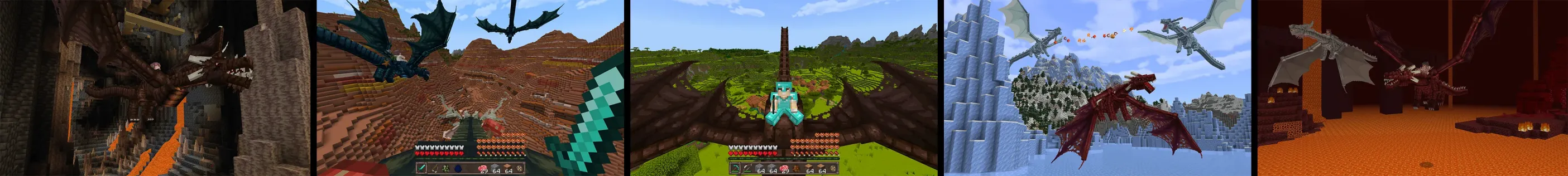 Dragons In Survival