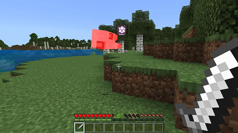 Mobs Drop Random Loot