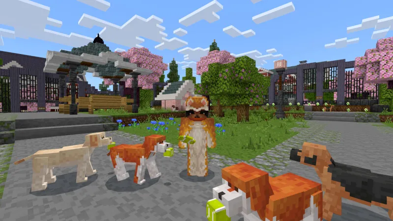 Better Dogs