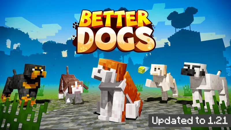 Better Dogs