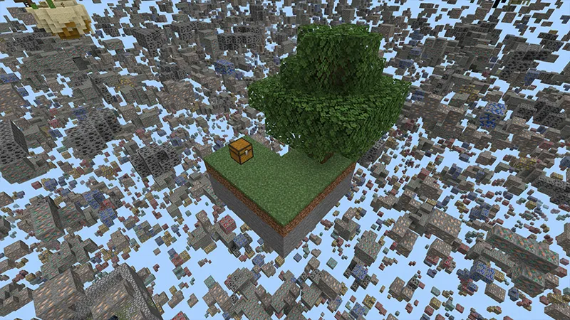 Skyblock X-Ray