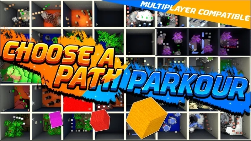 Choose a Path Parkour