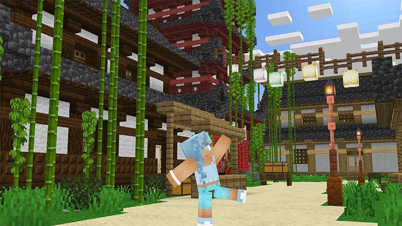 Ninja Kingdom