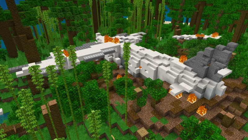 Plane Crash