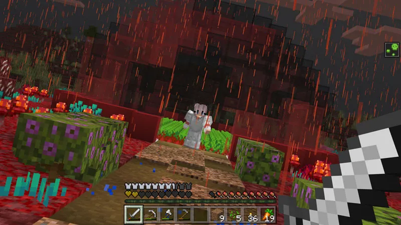 Nether Weather