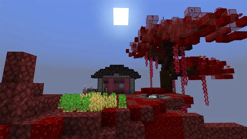 Nether Chunk Skyblock