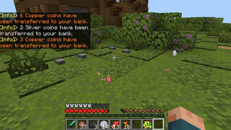 Village Defense Add-On