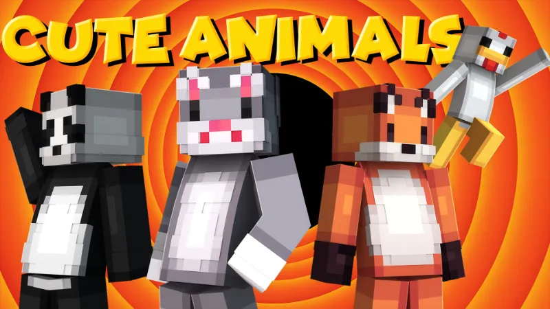 Cute Animals