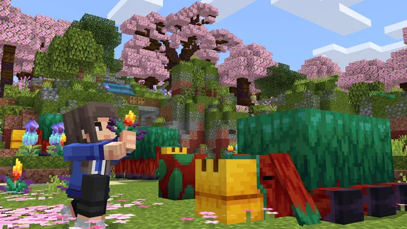 Cherry Blossom House