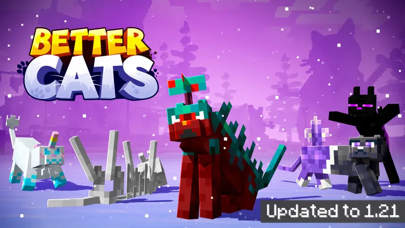 Better Cats