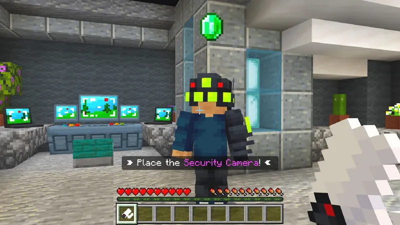Security Cameras Pack