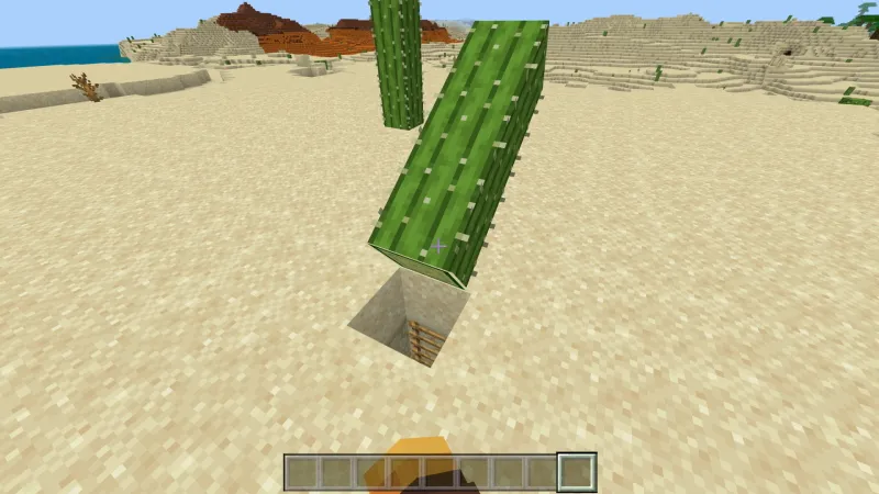 Secret Cactus Base