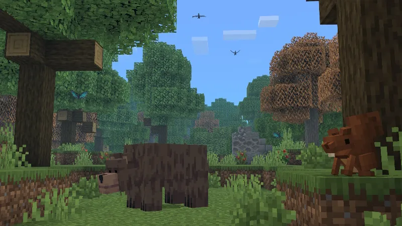 Biomes, Animals & Structures