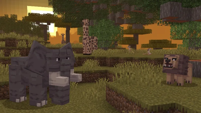 Biomes, Animals & Structures