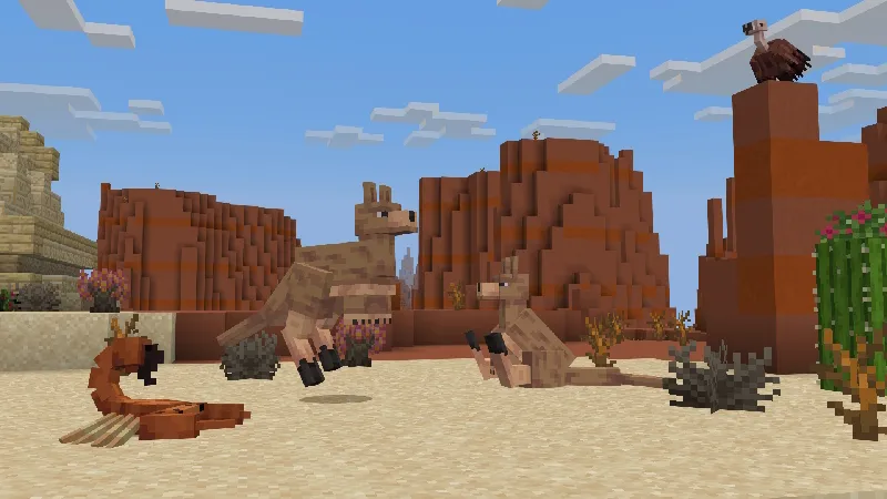 Biomes, Animals & Structures