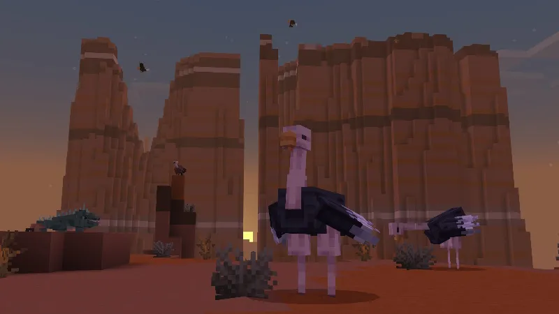 Biomes, Animals & Structures