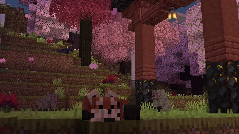 Biomes, Animals & Structures