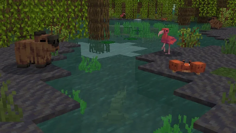 Biomes, Animals & Structures