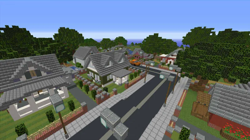 Modern Town and School