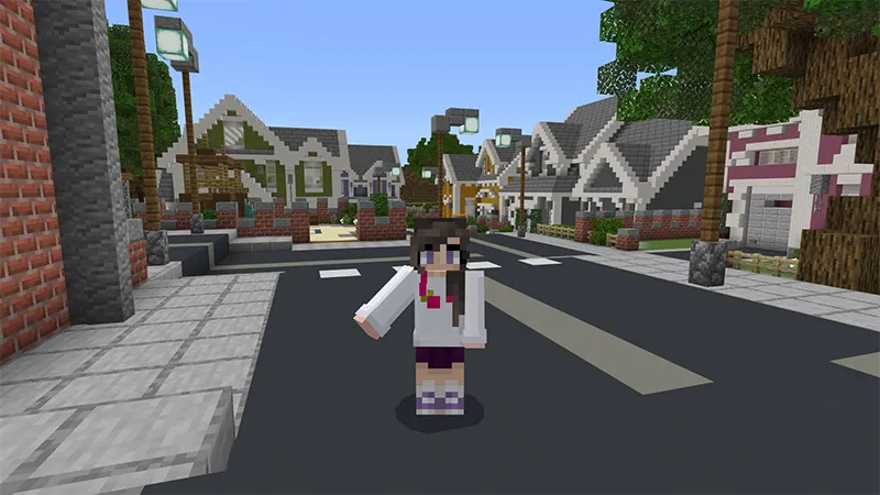 Modern Town and School