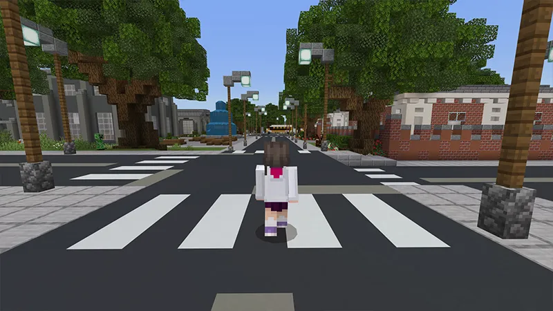 Modern Town and School