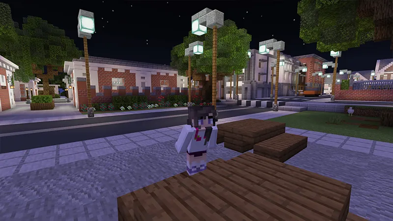 Modern Town and School