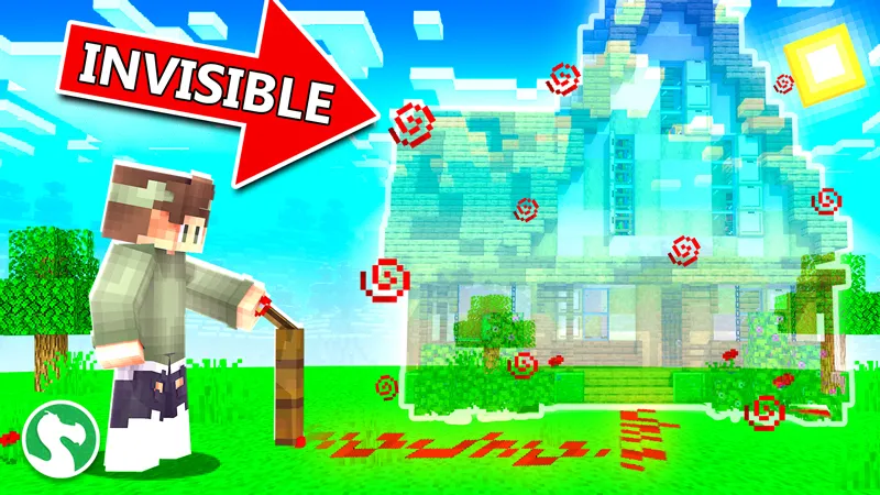 Invisible House
