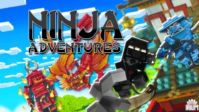 Ninja Adventures