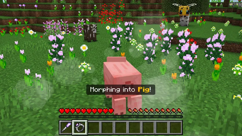 Morph Into Anything Add-On