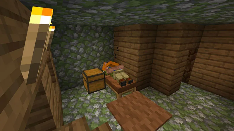 Village Quest Biome Edition