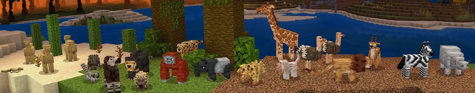 ANIMALS PACK