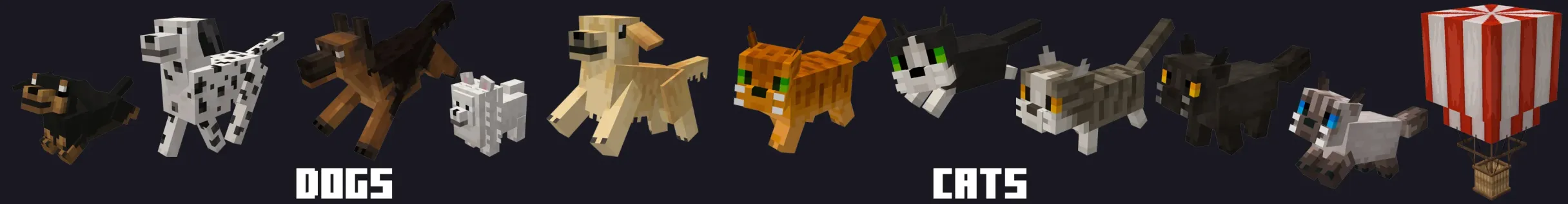 Cats and Dogs