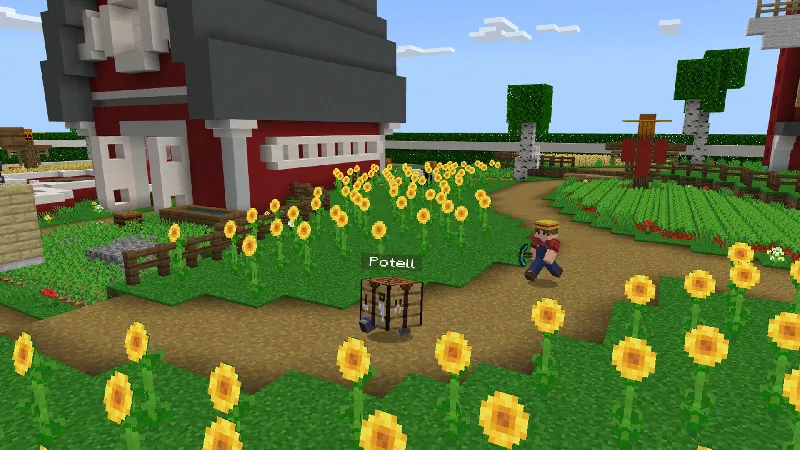 Hide and Seek: Blocks