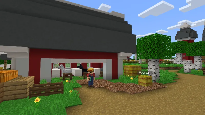 Hide and Seek: Blocks