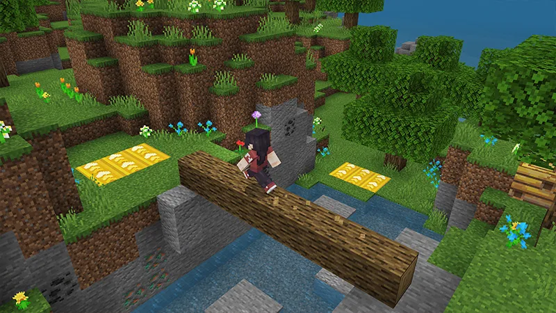 Run Swim Fly Parkour