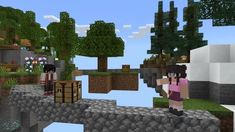 Skyblock Time Challenge