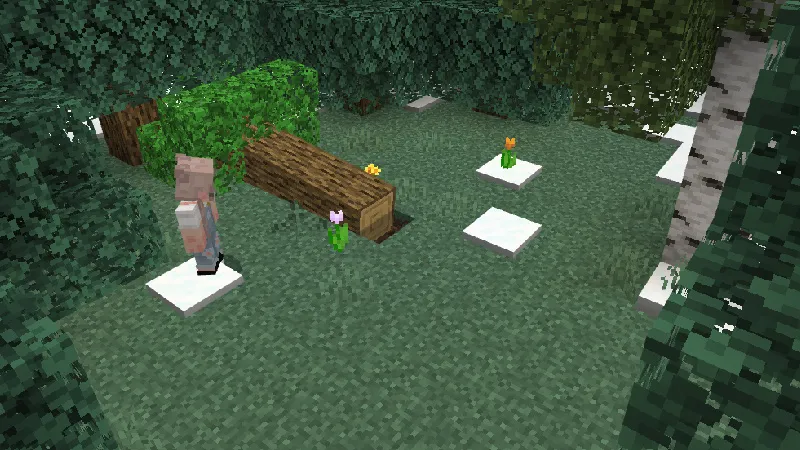 SECRET TREE BASE