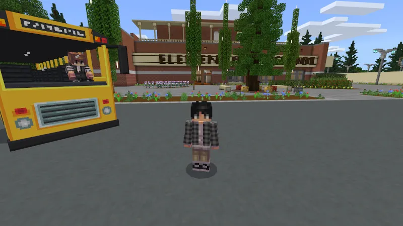 Elementary School Life
