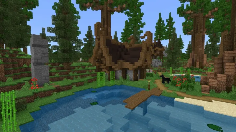 Redwood Adventure